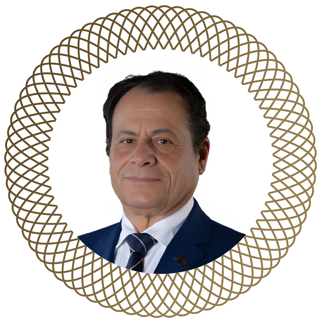 Prof. Mohammed Aboelenian